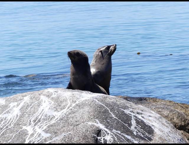 LAND FOR SALE IN ST HELENA VIEWS